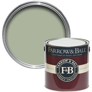 Farrow & Ball Exterior Eggshell Vert De Terre No.234 - 750ml