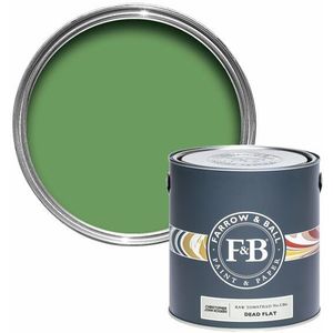 Farrow & Ball Estate Emulsion Raw Tomatillo CB6 5 L