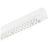 Philips LED Lichtlijn Armatuur | 48W 4000K 8000lm  1528mm | 840 IP20 DALI Dimbaar | Maxos LED Industry