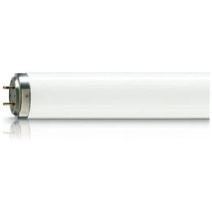 25x Philips T8 UV-A Lamp | 60W 1210mm Reprografie