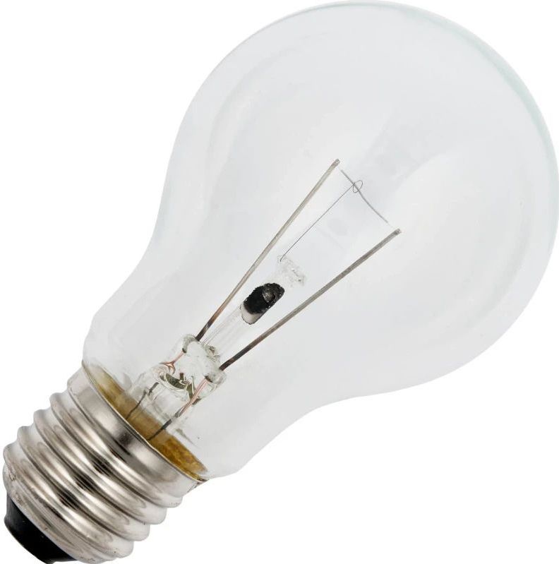 Schiefer E27 Gloeilamp | 40W 2700K 450lm 24V | Dimbaar