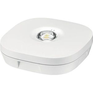 Tridonic LED Noodverlichtingsarmatuur | 2.5W 6500K 200lm | IP20 Plafondopbouw | 89800761