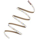 Ledvance LED Strip 5M | 24W 6500K 24V