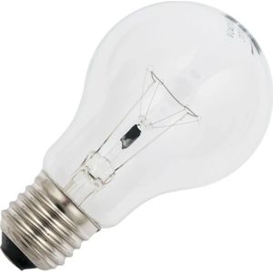 Schiefer - E27 Gloeilamp - 25W - Dimbaar - Helder Glas