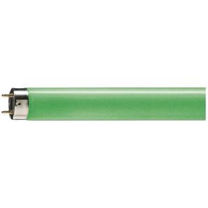 Philips G13 T8 TL-buis |  36W 4300lm  | 1210mm Groen