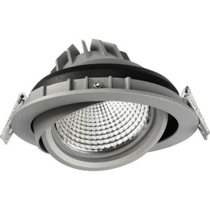 Internova LED Inbouwspot Ø170mm | Fresh Fish 4000K 1100lm 940 Girevole 15° Grijs