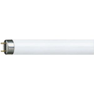 Philips G13 T8 TL-buis |  18W 3000K 1350lm 830  | 600mm