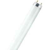 Osram - G13 T8 - TL-buis - 16W - 2700K - 1250lm - 730mm
