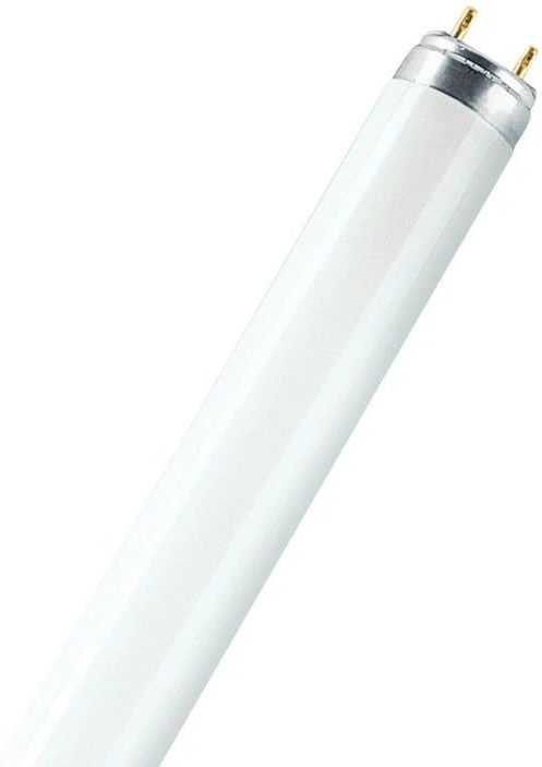 Osram - G13 T8 - TL-buis - 16W - 2700K - 1250lm - 730mm