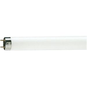 Philips G13 T8 TL-buis |  58W 5200K 4550lm 952  | 1510mm