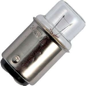 Schiefer BA15d Gloeilamp | 2W 48V 41mA 2500K | 14x30mm | 10 stuks