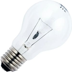Schiefer E27 Oven Gloeilamp | 40W 2700K 470lm 235V | Dimbaar