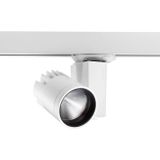 Concord LED Armatuur | 21W 3000K 1410Lm | 930 IP20 Dimbaar | Beacon LED