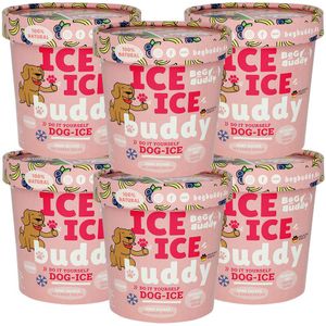 ICE ICE Buddy hondenijs bosbessen-banaan 6 stuk