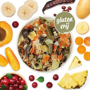 Schecker - Veggi-mix met groenten + fruit 2kg