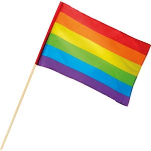 Regenboog vlag 30 x 45 cm