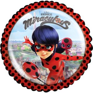 Kleine aluminium Ladybug ballon