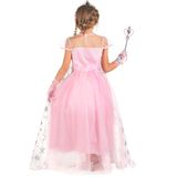 Roze prinsessen- -vermomming en accessoires voor meisjes