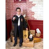 Luxe Harry Potter Griffoendor gewaad voor kinderen