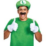 Luigi'saccessoires set voor volwassenen
