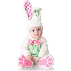 Konijn kostuum voor baby's - Luxe