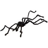 Grote behaarde halloween spin
