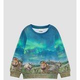 s.Oliver - Sweatshirt - Blauw/Aqua/Lichtbruin/Groen - Sweatstof - Ronde Hals