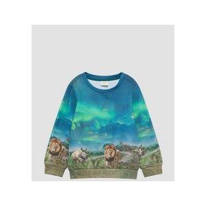 s.Oliver - Sweatshirt - Blauw/Aqua/Lichtbruin/Groen - Sweatstof - Ronde Hals