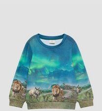 s.Oliver - Sweatshirt - Blauw/Aqua/Lichtbruin/Groen - Sweatstof - Ronde Hals