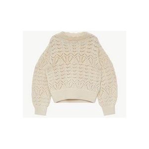 Trui - Knitwear - Effen - Opstaande Kraag - Lange Mouw