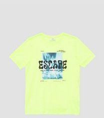 s.Oliver T-Shirt