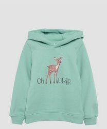 s.Oliver - Sweatshirt - Pastelgroen - Capuchon - Motiefprint