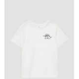 T-shirt - Katoenen Jersey - Normale Pasvorm - Korte Mouwen