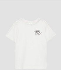 T-shirt - Katoenen Jersey - Normale Pasvorm - Korte Mouwen