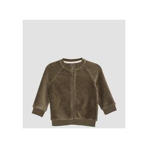 Sweatvest - Corduroy-look - Baby