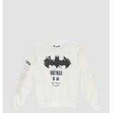 Sweater - Ronde Hals - Lange Mouwen - Geribbelde Boord - Regular Fit - Grafische Print