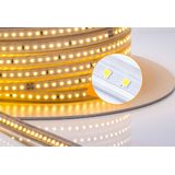 Lichtslang warmwit - 50 meter | 120 LEDs/meter 3000K | sproeidicht IP65 | 230V AC