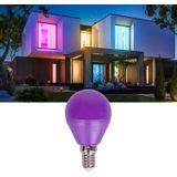 Kogellamp - E14 - Paars - LED - 4W