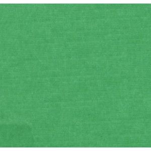 Kaartenkarton vierkant - Kleur 22 groen - 270x135mm - verpakt per 10vel