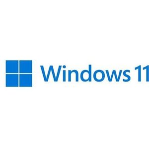 Microsoft Windows 11 Pro - Engels - DVD