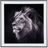 Present Time Wanddecoratie Lion - Zwart - 2x50x50cm