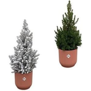 Kerstboom met en zonder sneeuw + 2x elho Vibes Fold roze Ø22 - 60 cm