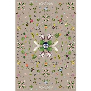 Moooi Carpets Garden of Eden Rectangle Beige vloerkleed 200x300
