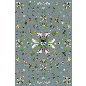 Moooi Carpets Garden of Eden Rectangle grey vloerkleed 200x300