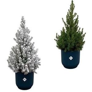 Kerstboom met en zonder sneeuw + 2x elho Vibes Fold blauw Ø22 - 60 cm