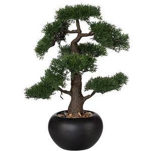 Kopu® Kunstplant Bonsai Ceder 48 cm met zwarte Pot - Bonsai boompje