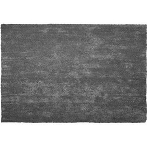 Beliani-DEMRE -Shaggy vloerkleed-Donkergrijs-200 x 300 cm-Polyester