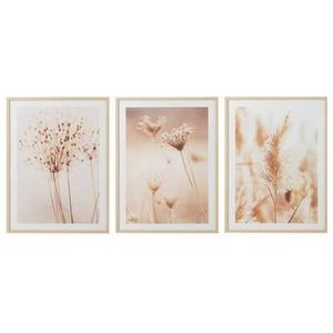 J-Line kader Bloemen Natuur - glas - beige/wit - 3 stuks