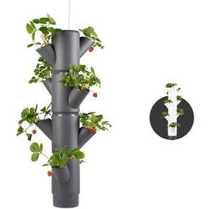 Gusta Garden - Sissi Strawberry - Hangende Planttoren - 4 niveaus