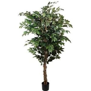 Kopu® Kunstplant Ficus Benjamina 150 cm in zwarte pot - 1764 bladeren